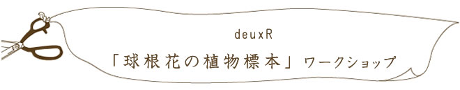 deuxR 「球根花の植物標本」 ワークショップ