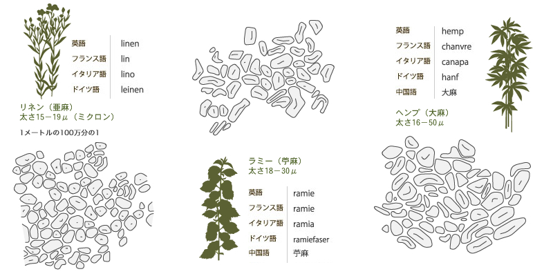 繊維の構造