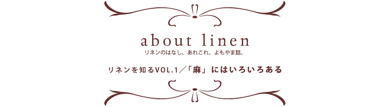 アバウトリネン　リネンのはなし、あれこれ、よもやま話。お話その1