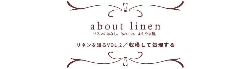 アバウトリネン　リネンのはなし、あれこれ、よもやま話。お話その2